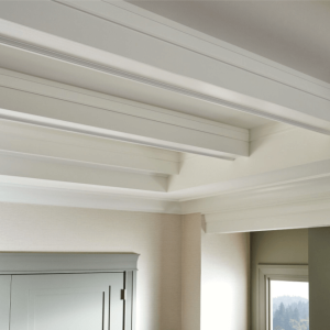 Contemporary_Craftsman_ceiling_detail